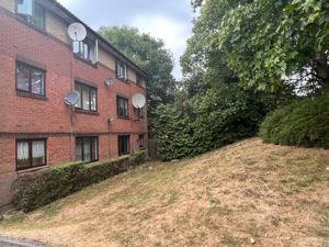 Photo 2- click for photo gallery